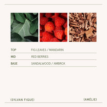 Load image into Gallery viewer, Sylvan Figue Candle