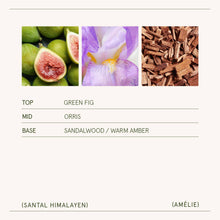 Load image into Gallery viewer, Santal Himalayen Candle