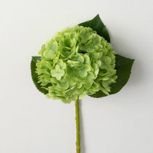 Load image into Gallery viewer, Freshcut Hydrangea