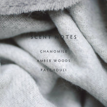 Load image into Gallery viewer, Cashmere Diffuser