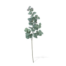 Load image into Gallery viewer, Eucalyptus Stem