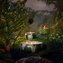 Load image into Gallery viewer, Temple Moss