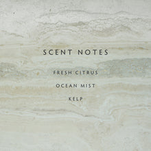 Load image into Gallery viewer, Sea Salt Diffuser