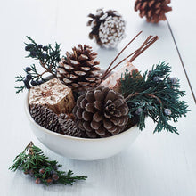 Load image into Gallery viewer, Roland Pine Potpourri
