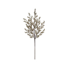 Load image into Gallery viewer, Berry Stem