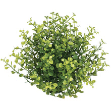 Load image into Gallery viewer, Baby Grass Orb
