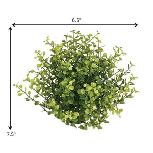 Baby Grass Orb