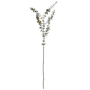 Eucalyptus Stem 44"