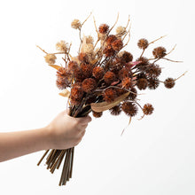Load image into Gallery viewer, THISTLE LEAF BUSH

