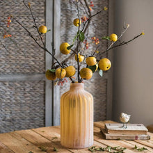 Load image into Gallery viewer, Apple Pear Stem
