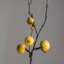 Load image into Gallery viewer, Apple Pear Stem
