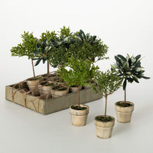 Load image into Gallery viewer, Rustic Potted Mini Tree
