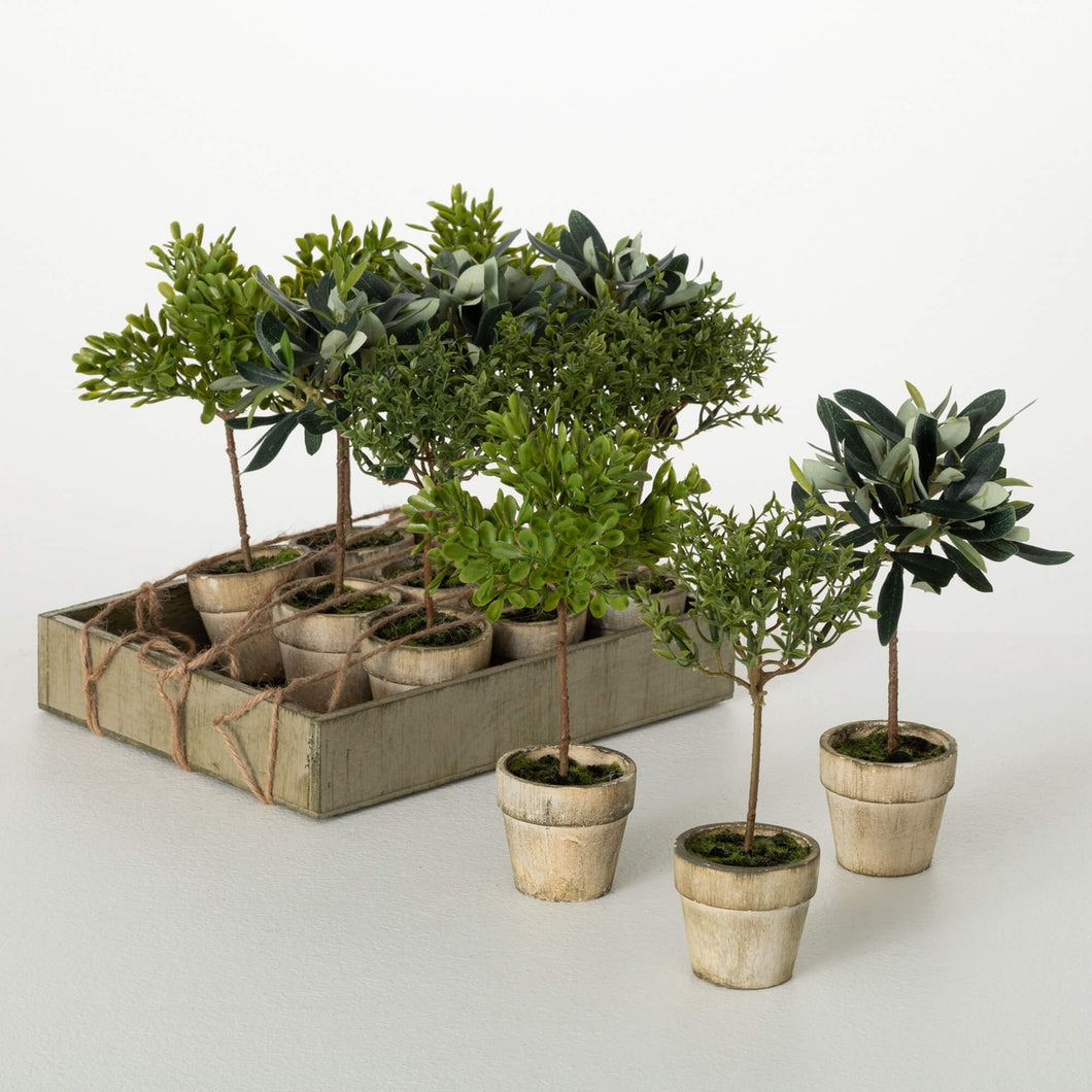 Rustic Potted Mini Tree