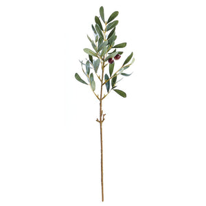 Olive Stem