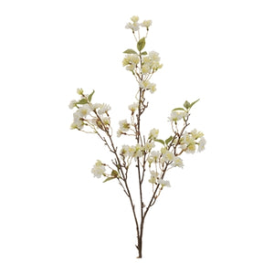 Blossom Branch