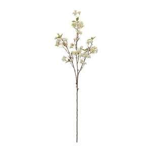 Blossom Branch
