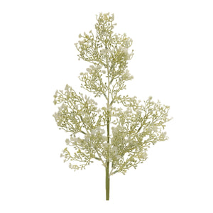 Baby Breath Stem