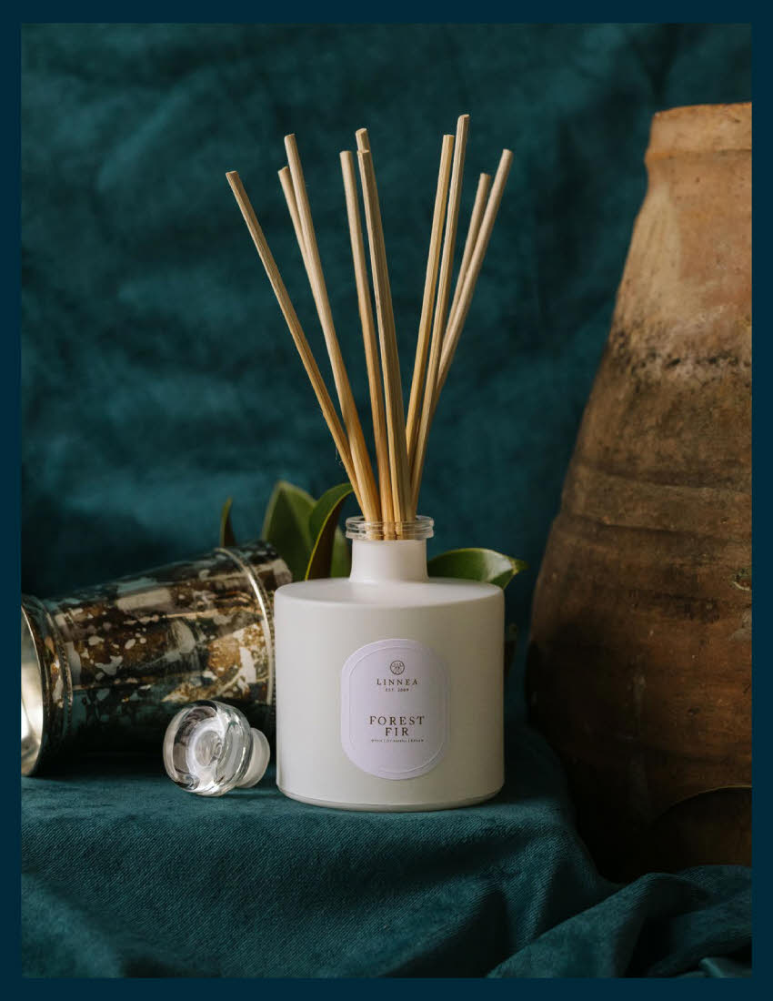 Forest Fir Diffuser