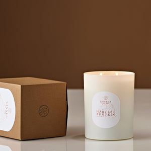 Harvest Pumpkin Candle