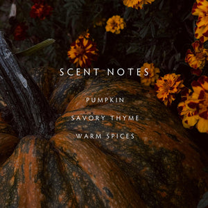 Harvest Pumpkin Diffuser