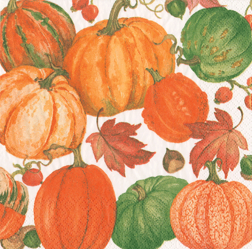Pumpkin Field Napkin Guest