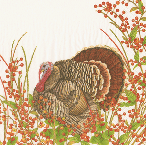 Turkey Cocktail Napkin