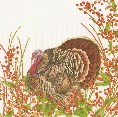 Turkey Cocktail Napkin