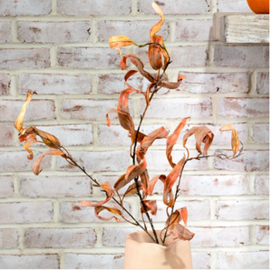 Eucalyptus Leaf Branch