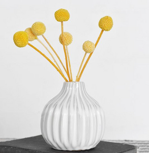 Decorative White Vase 4"