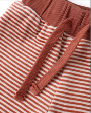 Load image into Gallery viewer, Velour Relaxed Sweatpant
