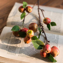Load image into Gallery viewer, Mini Apple Stems
