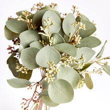 Load image into Gallery viewer, Silver Dollar Eucalyptus Cuttings
