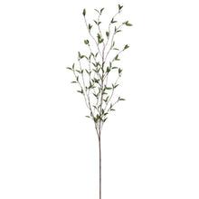 Load image into Gallery viewer, Foliage Branch
