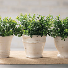 Load image into Gallery viewer, Glazed Ceramic Pot
