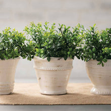 Load image into Gallery viewer, Glazed Ceramic Pot
