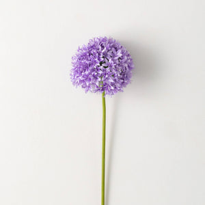 ALLIUM STEM