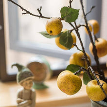Load image into Gallery viewer, Apple Pear Stem
