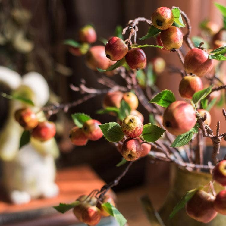 Mini Apple Stems