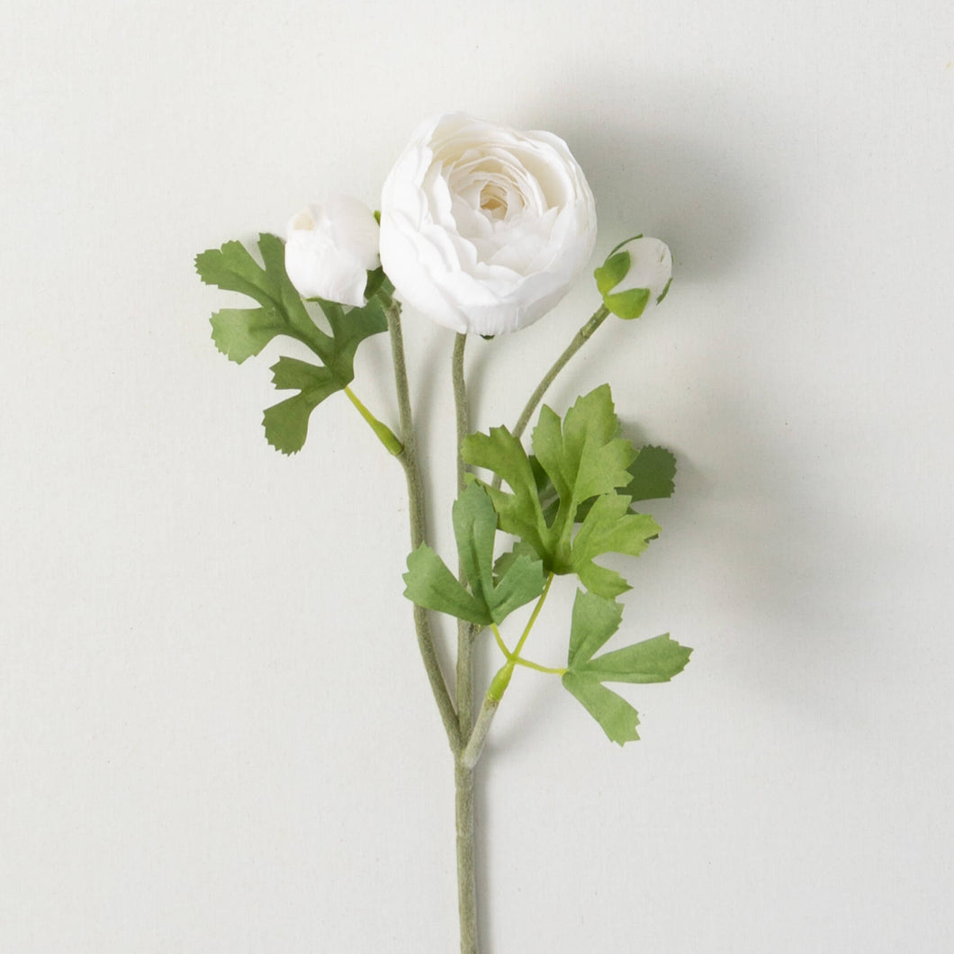 WHITE RANUNCULUS SPRAY