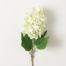 Load image into Gallery viewer, Ivory Cone Hydrangea Spray
