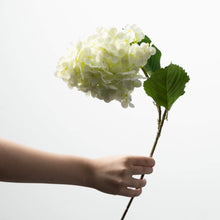 Load image into Gallery viewer, Ivory Cone Hydrangea Spray
