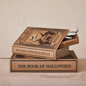Halloween Book Box