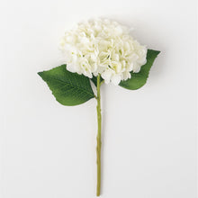 Load image into Gallery viewer, HYDRANGEA STEM - T E R R A
